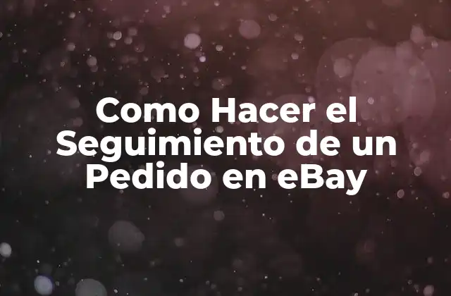 Como Hacer el Seguimiento de un Pedido en Ebay