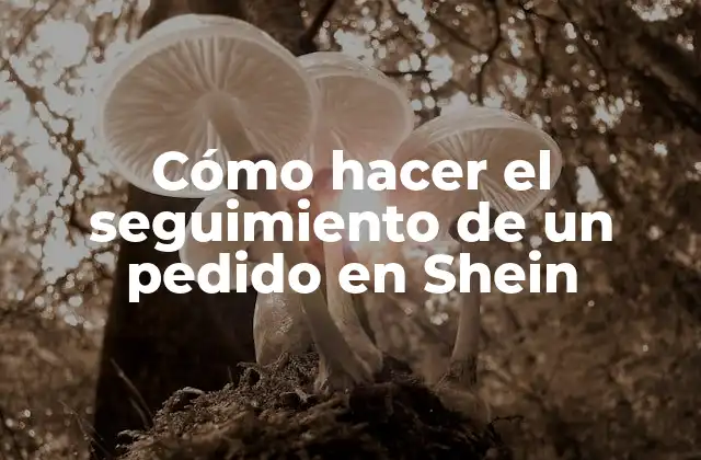 Cómo Hacer el Seguimiento de un Pedido en Shein
