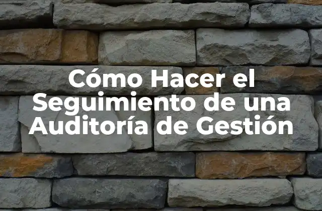 Cómo Hacer el Seguimiento de una Auditoría de Gestión