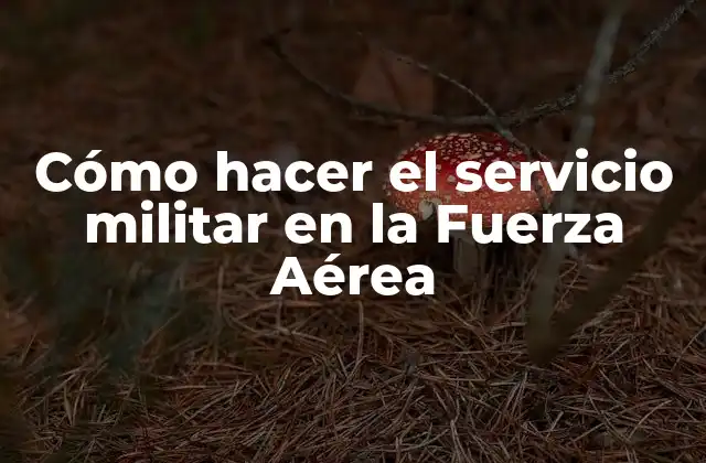 Cómo Hacer el Servicio Militar en la Fuerza Aérea