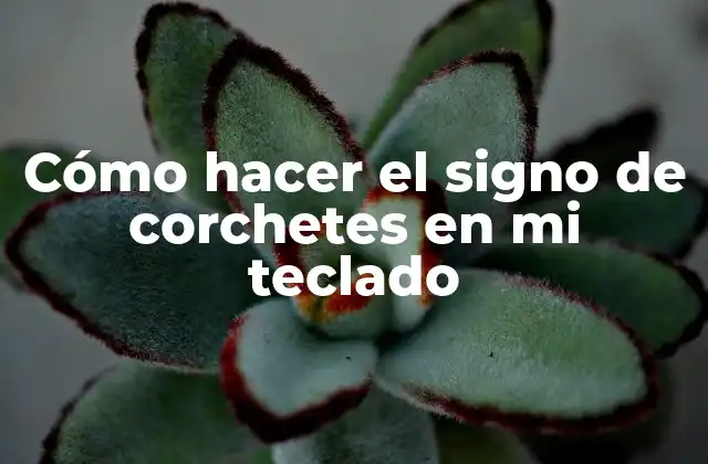 Cómo Hacer el Signo de Corchetes en Mi Teclado