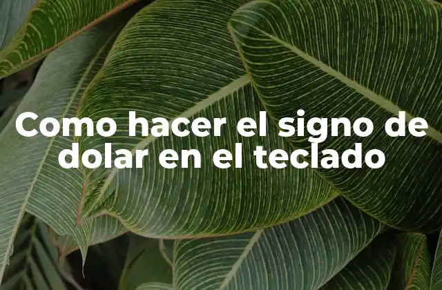 Como Hacer el Signo de Dolar en el Teclado