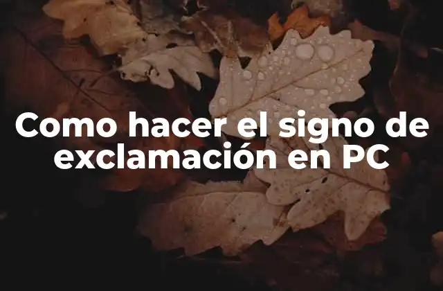 Como Hacer el Signo de Exclamación en Pc