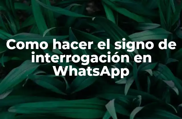 Como Hacer el Signo de Interrogación en Whatsapp