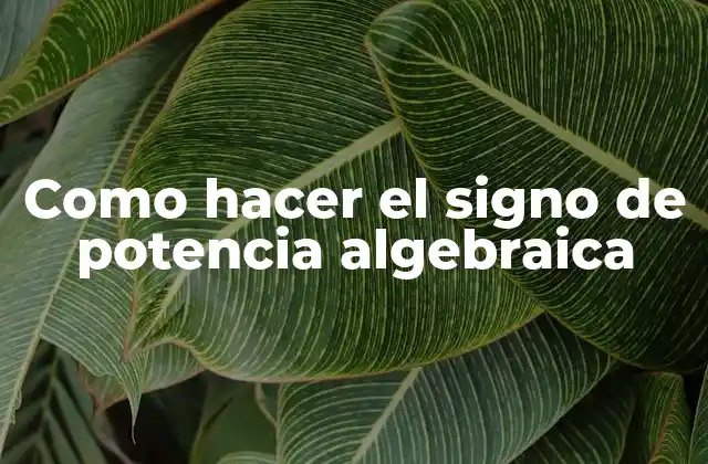 Como Hacer el Signo de Potencia Algebraica