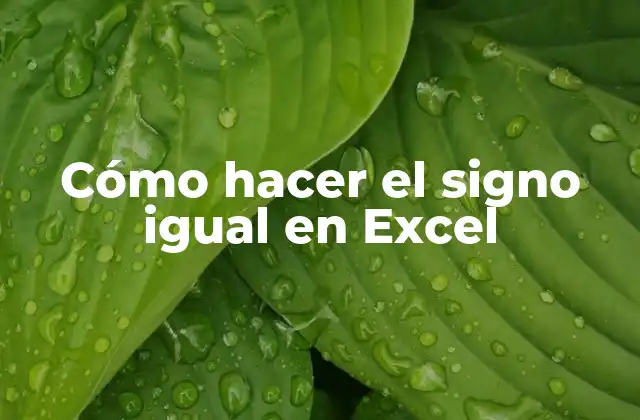 Cómo Hacer el Signo Igual en Excel
