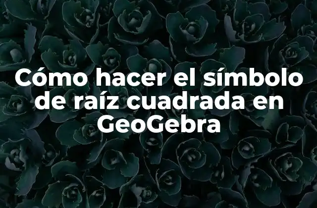 Cómo Hacer el Símbolo de Raíz Cuadrada en Geogebra