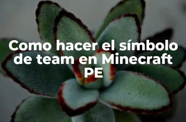 Como Hacer el Símbolo de Team en Minecraft Pe 2 ¿Qué es el símbolo de team en Minecraft PE?