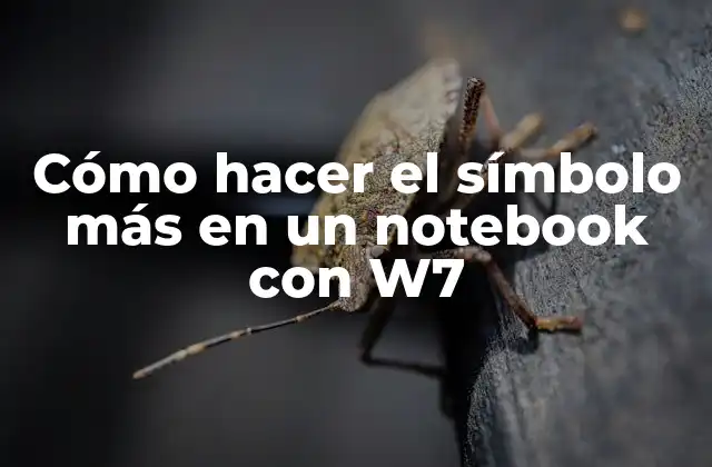 Cómo Hacer el Símbolo Más en un Notebook con W7