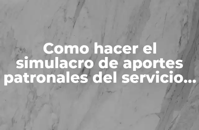Como Hacer el Simulacro de Aportes Patronales Del Servicio Domestico
