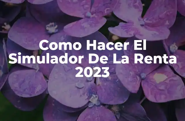 Como Hacer el Simulador de la Renta 2023