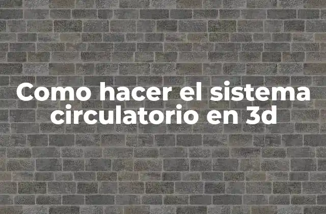 Como Hacer el Sistema Circulatorio en 3d
