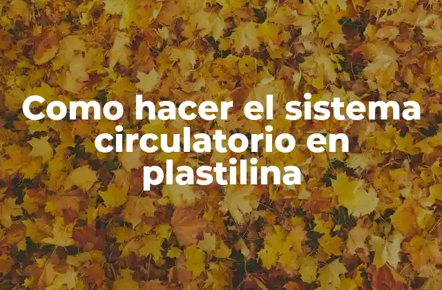 Como Hacer el Sistema Circulatorio en Plastilina