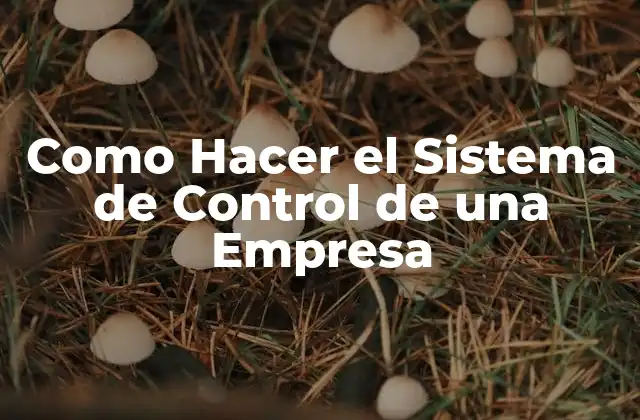 Como Hacer el Sistema de Control de una Empresa