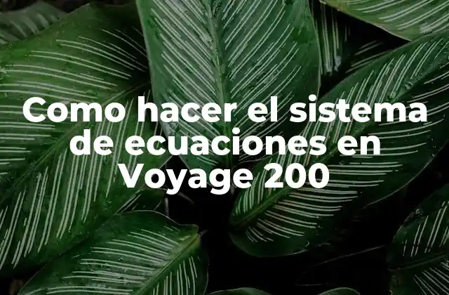 Como Hacer el Sistema de Ecuaciones en Voyage 200