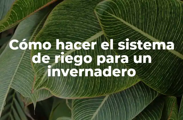 Cómo Hacer el Sistema de Riego para un Invernadero