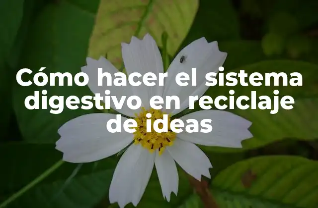 Cómo Hacer el Sistema Digestivo en Reciclaje de Ideas
