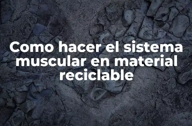 Como Hacer el Sistema Muscular en Material Reciclable