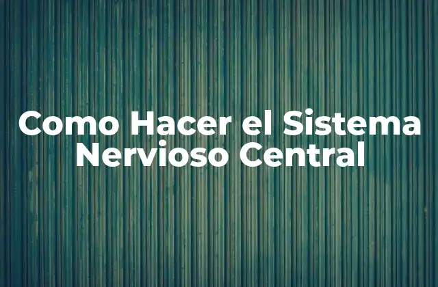 Como Hacer el Sistema Nervioso Central