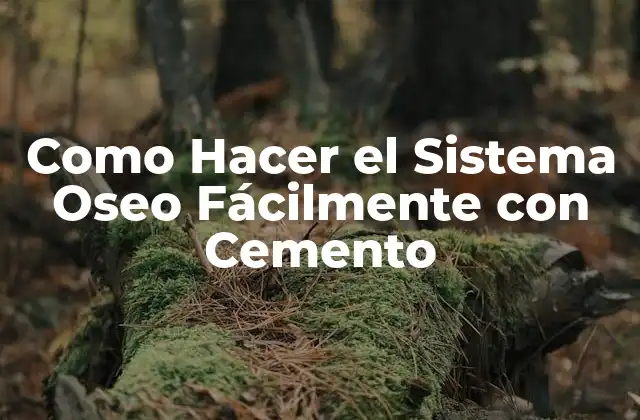 Como Hacer el Sistema Oseo Fácilmente con Cemento