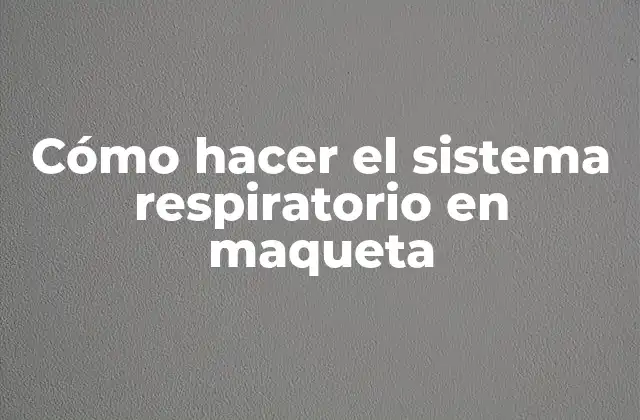 Cómo Hacer el Sistema Respiratorio en Maqueta