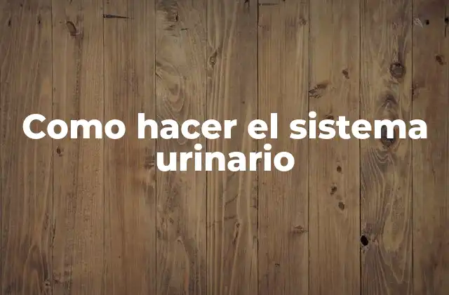 Como Hacer el Sistema Urinario