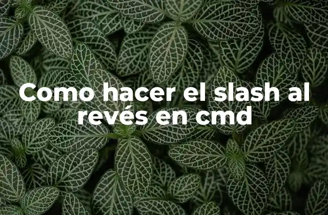 Como Hacer el Slash Al Revés en Cmd