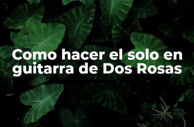 Como Hacer el Solo en Guitarra de Dos Rosas