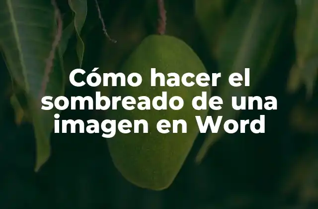 Cómo Hacer el Sombreado de una Imagen en Word