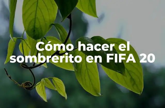 Cómo Hacer el Sombrerito en Fifa 20