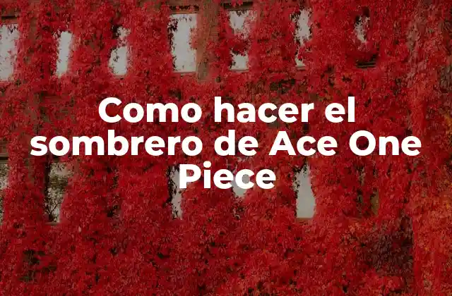 Como Hacer el Sombrero de Ace One Piece