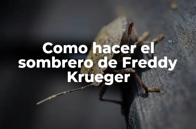 Como Hacer el Sombrero de Freddy Krueger