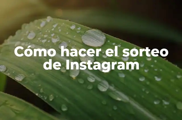 Cómo Hacer el Sorteo de Instagram