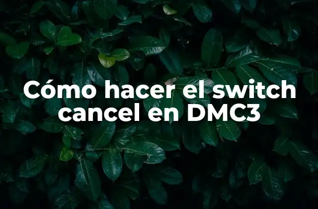 Cómo Hacer el Switch Cancel en Dmc3