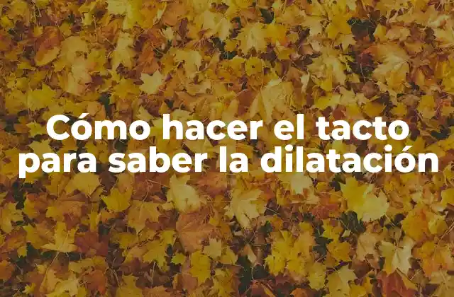 Cómo Hacer el Tacto para Saber la Dilatación