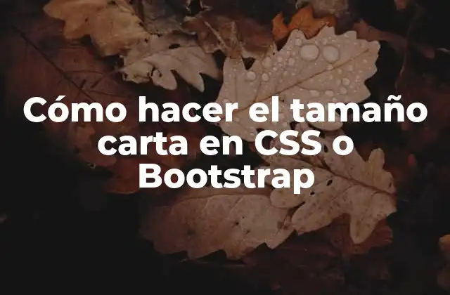 Cómo Hacer el Tamaño Carta en Css o Bootstrap 2 Cómo hacer el tamaño carta en CSS o Bootstrap