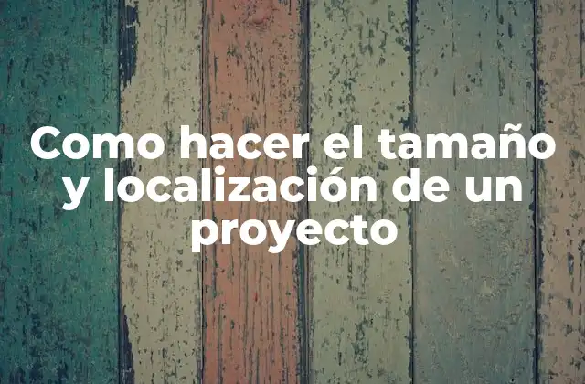 Como Hacer el Tamaño y Localización de un Proyecto