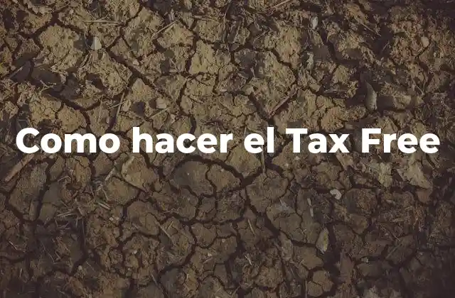 Como Hacer el Tax Free