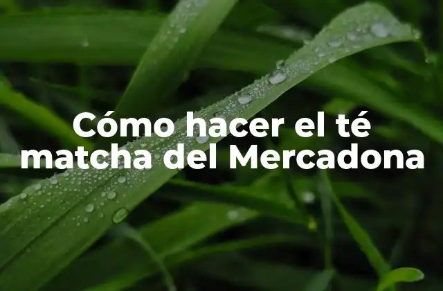 Cómo Hacer el Té Matcha Del Mercadona