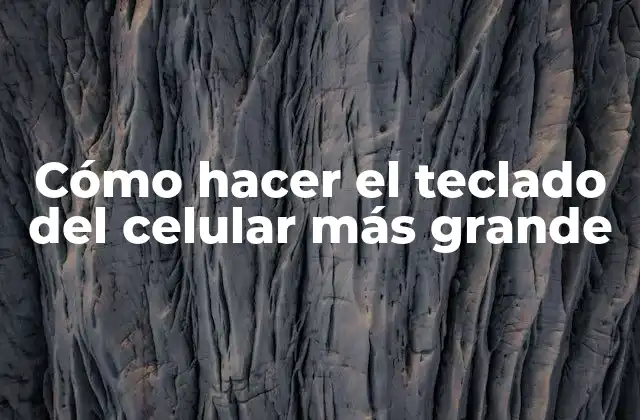 Cómo Hacer el Teclado Del Celular Más Grande