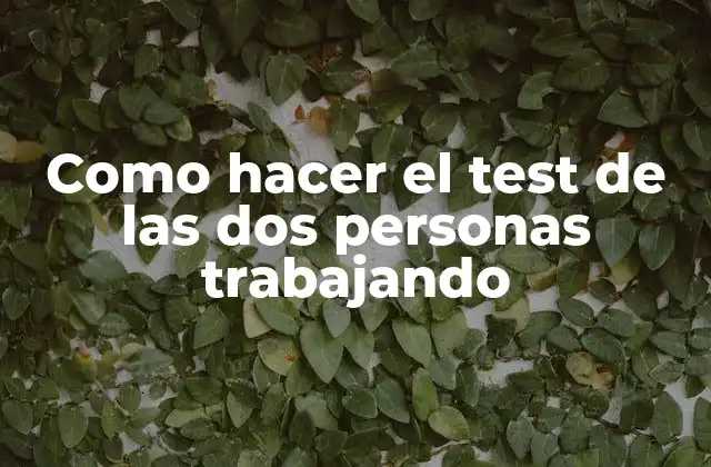 Como Hacer el Test de las Dos Personas Trabajando