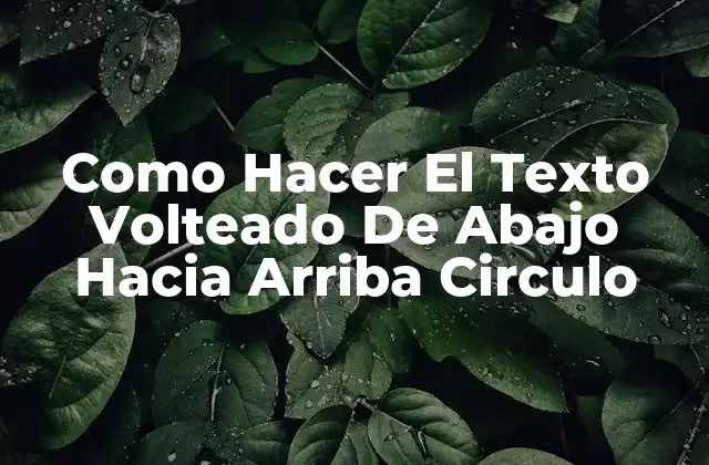 Como Hacer el Texto Volteado de Abajo hacia Arriba Circulo