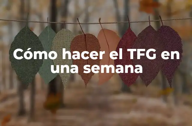 Cómo Hacer el Tfg en una Semana