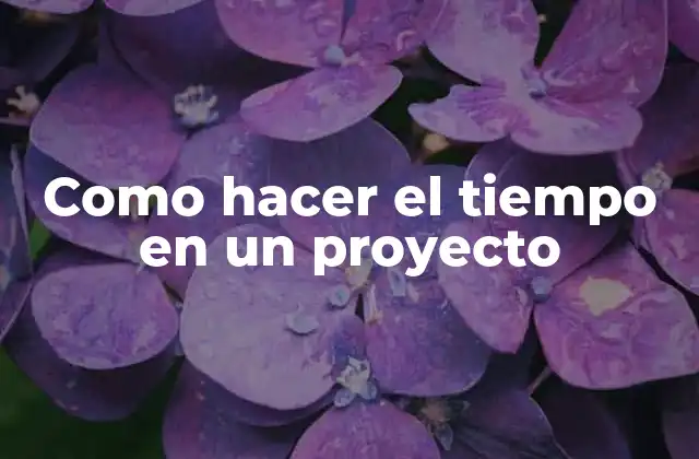 Como Hacer el Tiempo en un Proyecto