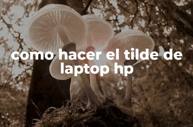 Como Hacer el Tilde de Laptop Hp