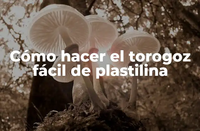 Cómo Hacer el Torogoz Fácil de Plastilina