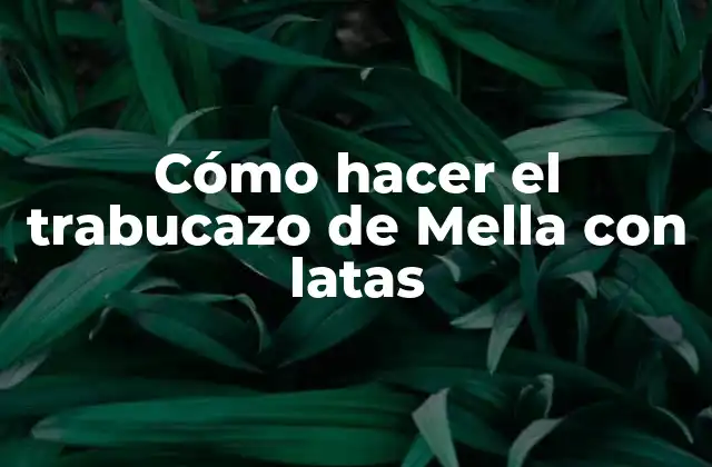 Cómo Hacer el Trabucazo de Mella con Latas