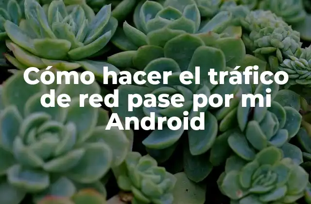 Cómo Hacer el Tráfico de Red Pase por Mi Android