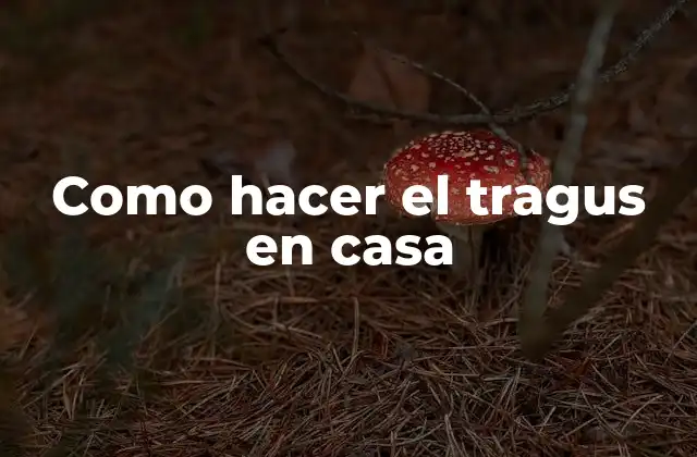 Como Hacer el Tragus en Casa