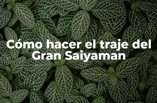 Cómo Hacer el Traje Del Gran Saiyaman